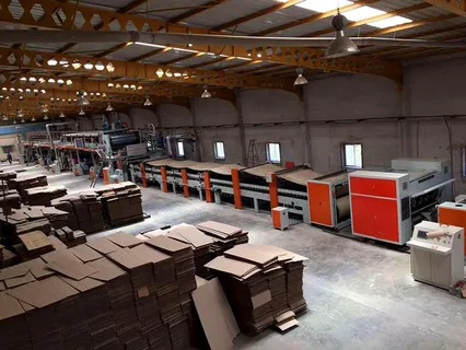 Bastaa pack -Paper and cardboard production lines